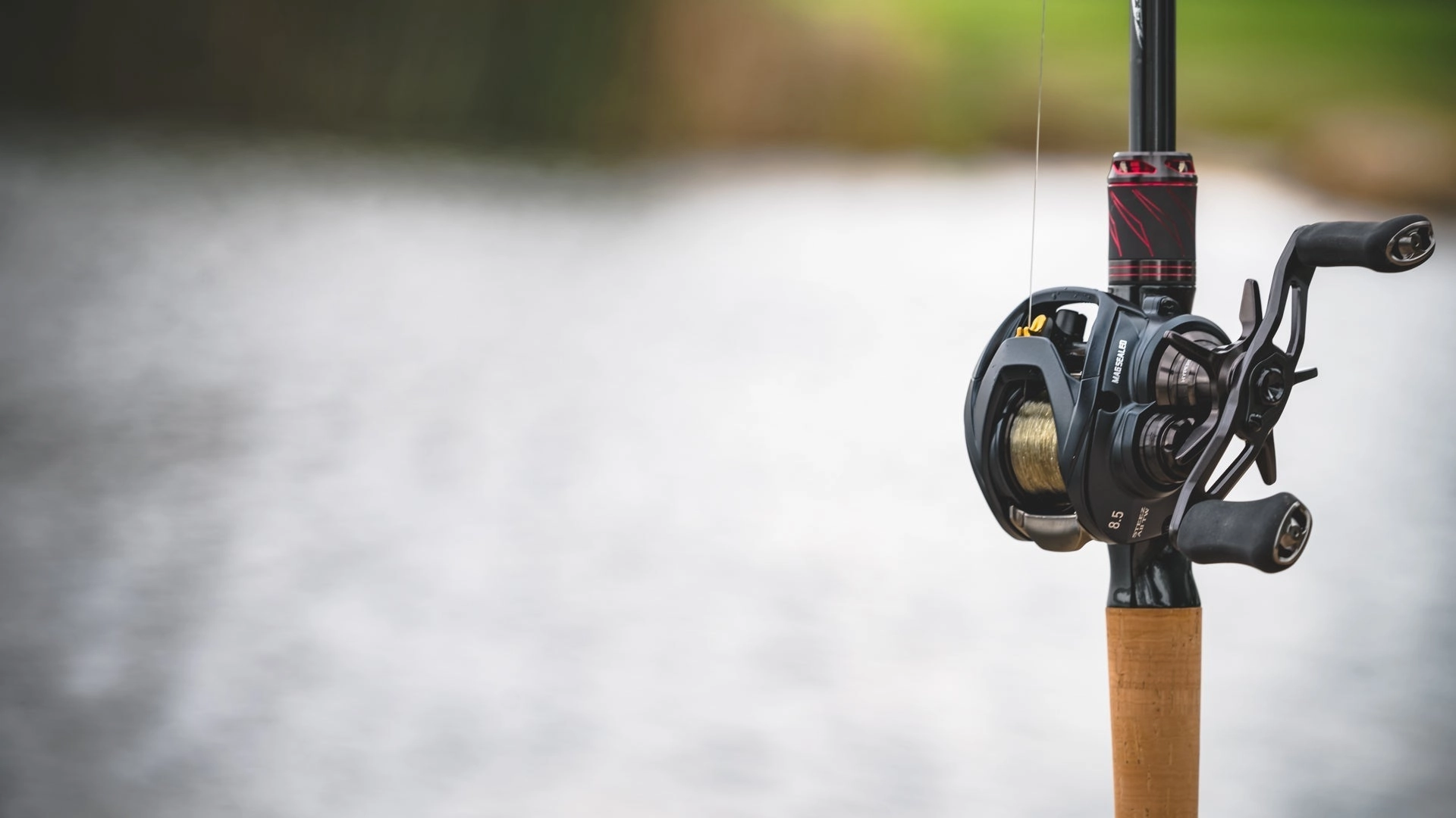 Daiwa Steez-A 100TWS Baitcasting Reel
