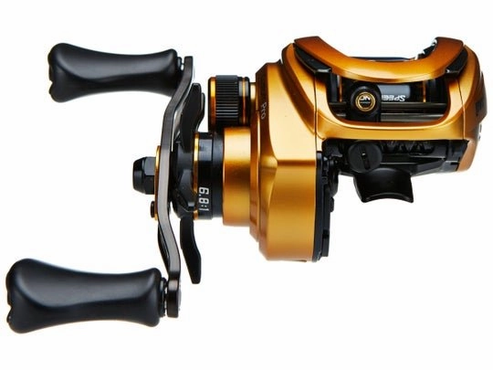 Lew's Custom Pro Baitcast Reel