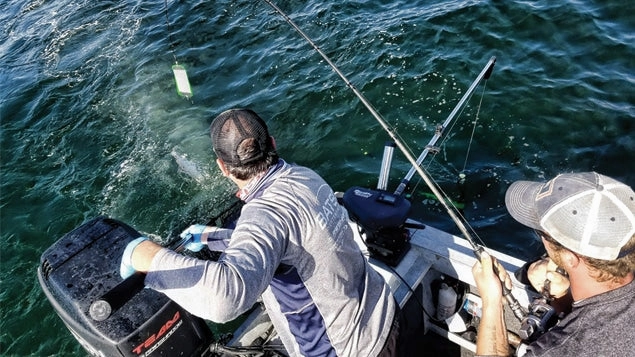 Rainshadow RX4 Salmon & Steelhead Rod Blanks
